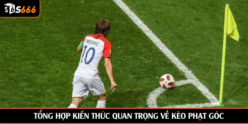 Tổng hợp kiến thức quan trọng về kèo phạt góc
